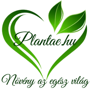 cropped plantae logo negyzet3