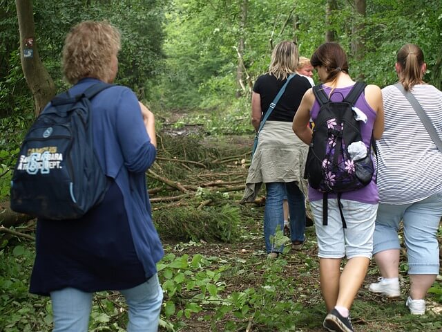 botanika workshop 3